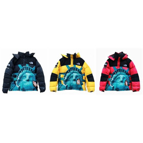 La nueva chaqueta elegante y caliente del North Face-4806  