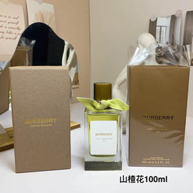 Burberry Hawthorn Flor Perfume-3339