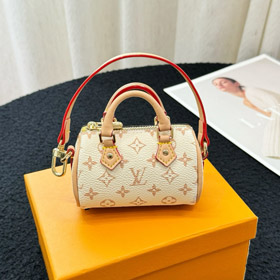 Louis Vuitton LV Mini bolso de almohada de mano colgante-3935